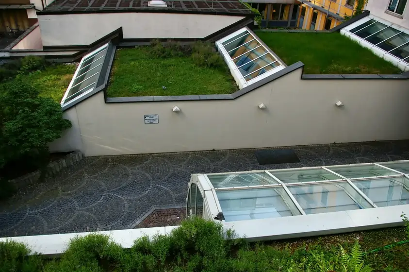 Duurzaam groendak met sedum-beplanting op een plat EPDM-dak, ideaal voor natuurlijke isolatie en waterretentie.